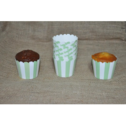 Kapsül 25 Li̇ Pastel çi̇zgi̇li̇ Yeşi̇l